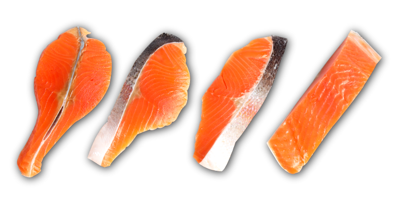 oem-salmon-piece-4