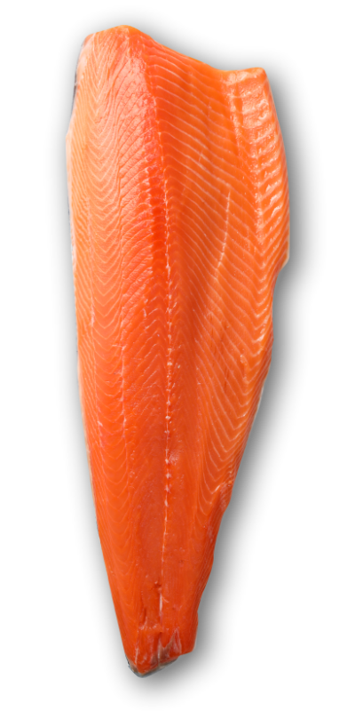 oem-salmon